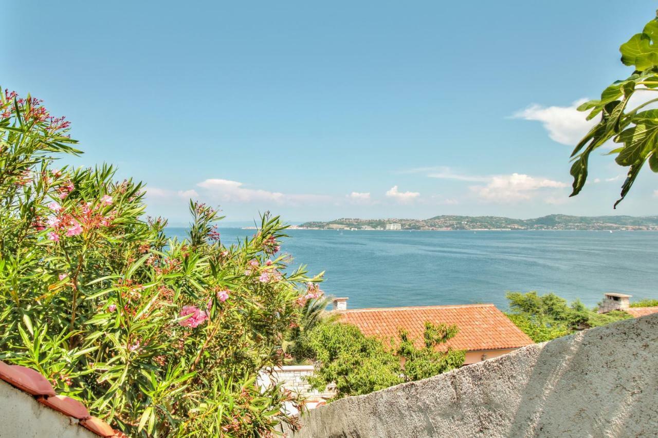 Apartment Katarina Crveni Vrh Εξωτερικό φωτογραφία
